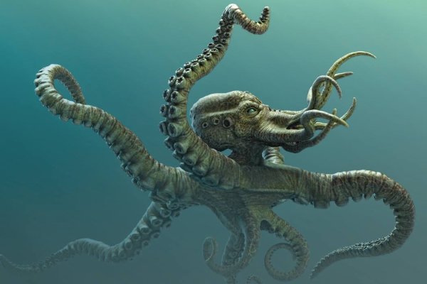 Kraken для россиян