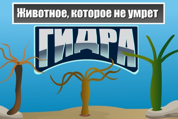 Кракен зеркало на тор