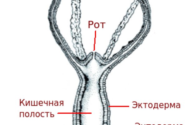 Kraken это современный маркетплейс